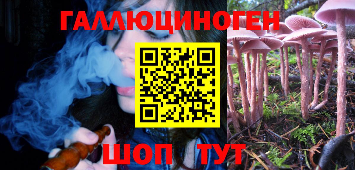 Котельники  Галлюциногенные грибы Psilocybine cubensis  Псилоцибиновые грибы MAGIC MUSHROOMS  Вход с VPN 