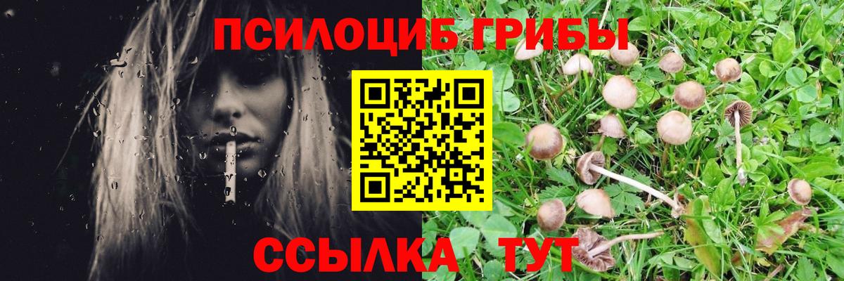 Псилоцибиновые грибы прущие грибы Котельники
